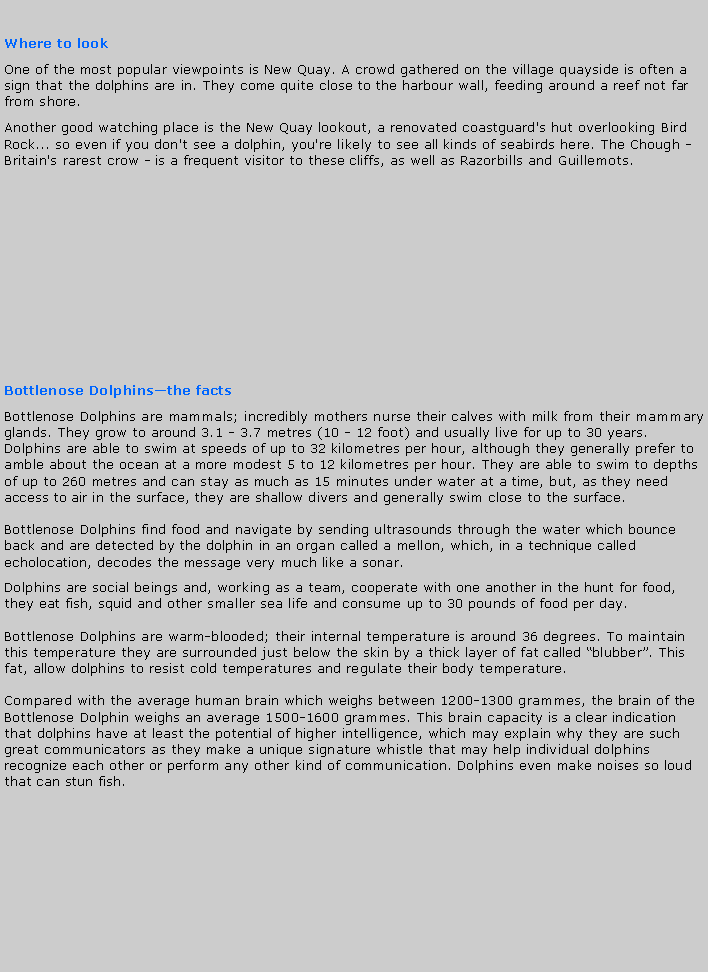Text Box:                                                      Where to lookOne of the most popular viewpoints is New Quay. A crowd gathered on the village quayside is often a sign that the dolphins are in. They come quite close to the harbour wall, feeding around a reef not far from shore. Another good watching place is the New Quay lookout, a renovated coastguard's hut overlooking Bird Rock... so even if you don't see a dolphin, you're likely to see all kinds of seabirds here. The Chough - Britain's rarest crow - is a frequent visitor to these cliffs, as well as Razorbills and Guillemots. Bottlenose Dolphinsthe factsBottlenose Dolphins are mammals; incredibly mothers nurse their calves with milk from their mammary glands. They grow to around 3.1 - 3.7 metres (10 - 12 foot) and usually live for up to 30 years. Dolphins are able to swim at speeds of up to 32 kilometres per hour, although they generally prefer to amble about the ocean at a more modest 5 to 12 kilometres per hour. They are able to swim to depths of up to 260 metres and can stay as much as 15 minutes under water at a time, but, as they need access to air in the surface, they are shallow divers and generally swim close to the surface.

Bottlenose Dolphins find food and navigate by sending ultrasounds through the water which bounce back and are detected by the dolphin in an organ called a mellon, which, in a technique called echolocation, decodes the message very much like a sonar.Dolphins are social beings and, working as a team, cooperate with one another in the hunt for food, they eat fish, squid and other smaller sea life and consume up to 30 pounds of food per day.Bottlenose Dolphins are warm-blooded; their internal temperature is around 36 degrees. To maintain this temperature they are surrounded just below the skin by a thick layer of fat called blubber. This fat, allow dolphins to resist cold temperatures and regulate their body temperature.Compared with the average human brain which weighs between 1200-1300 grammes, the brain of the Bottlenose Dolphin weighs an average 1500-1600 grammes. This brain capacity is a clear indication that dolphins have at least the potential of higher intelligence, which may explain why they are such great communicators as they make a unique signature whistle that may help individual dolphins recognize each other or perform any other kind of communication. Dolphins even make noises so loud that can stun fish.